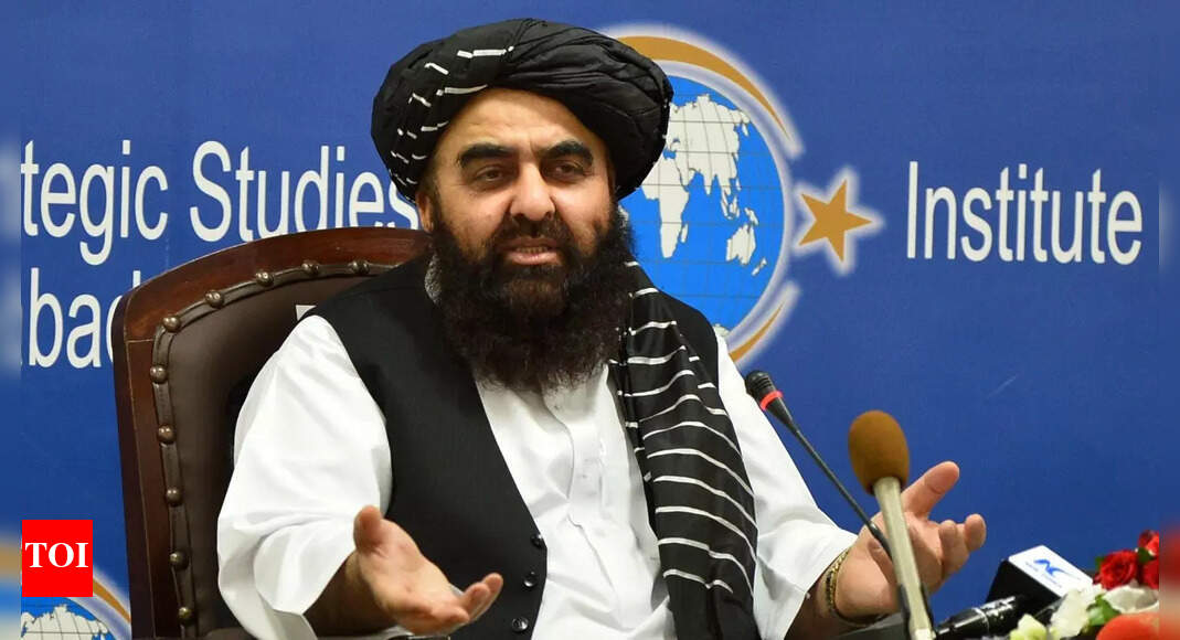 , Taliban government making all-out efforts to ensure that Afghan soil is not used against any country: Muttaqi, The World Live Breaking News Coverage & Updates IN ENGLISH
