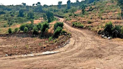 Maharashtra: Hills surrounding Kolwade in Ahmednagar to be renamed after Hermann Bacher