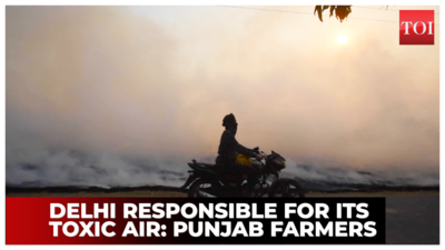 Why Punjab farmers are unlikely to stop stubble burning soon!