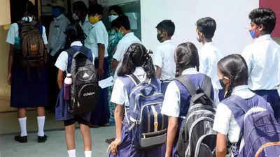 Online classes to end in most Rajasthan schools after gap of 18 months