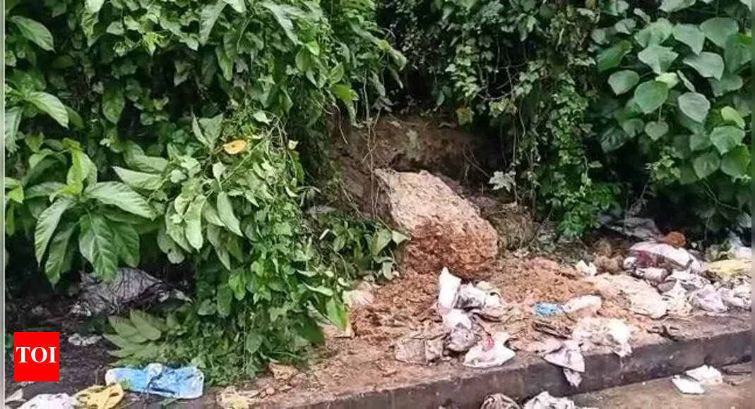 Heavy rain lashes Kerala, red alert in 3 dists