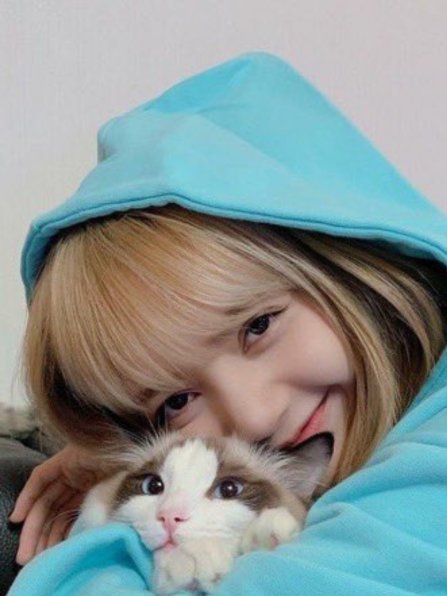Most adorable photos of Blackpink with their pets | Zoom TV