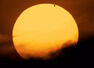 Sun Transit in Scorpio: What sunsigns can expect