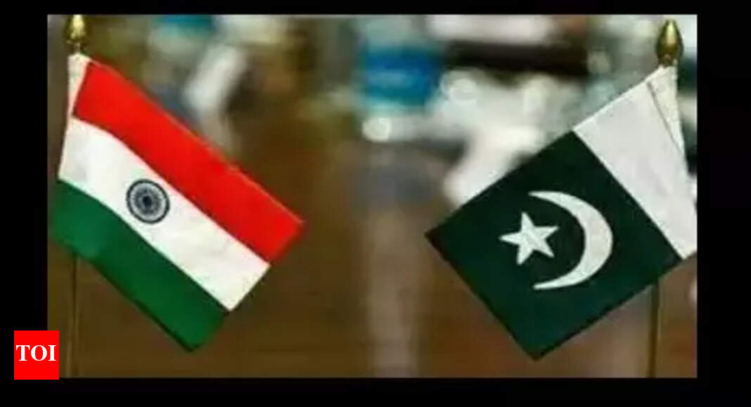 ‘Do not travel to India-Pak border’; exercise caution due to crime and terrorism: US updates travel advisory to citizens