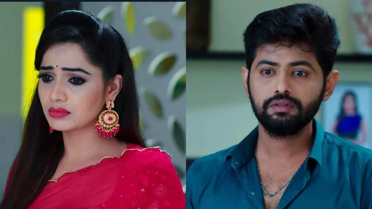 Karthika Deepam preview: Monitha to reveal Karthik's secret to Adithya -  Times of India