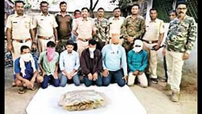 Tiger skin seizure: Six accused get 4-day FCR