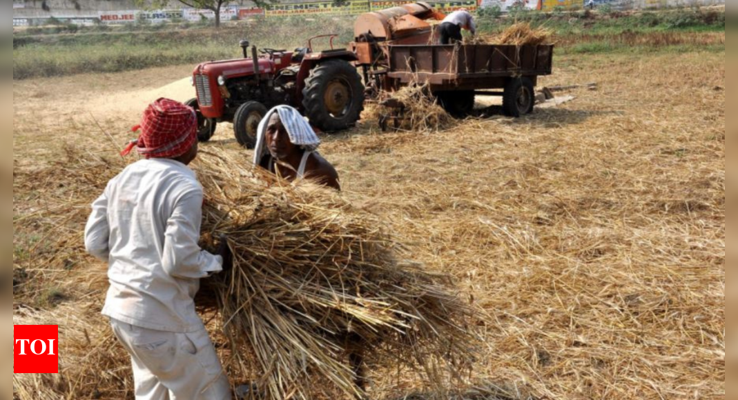 India to pitch for permanent solution for food security in WTO meet: Official