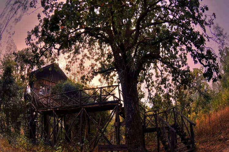 TreeHouse Hideaway Resort, Bandhavgarh
