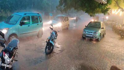 Tamil Nadu: Sudden downpour in Tirunelveli leaves 1 dead; many places in city inundated