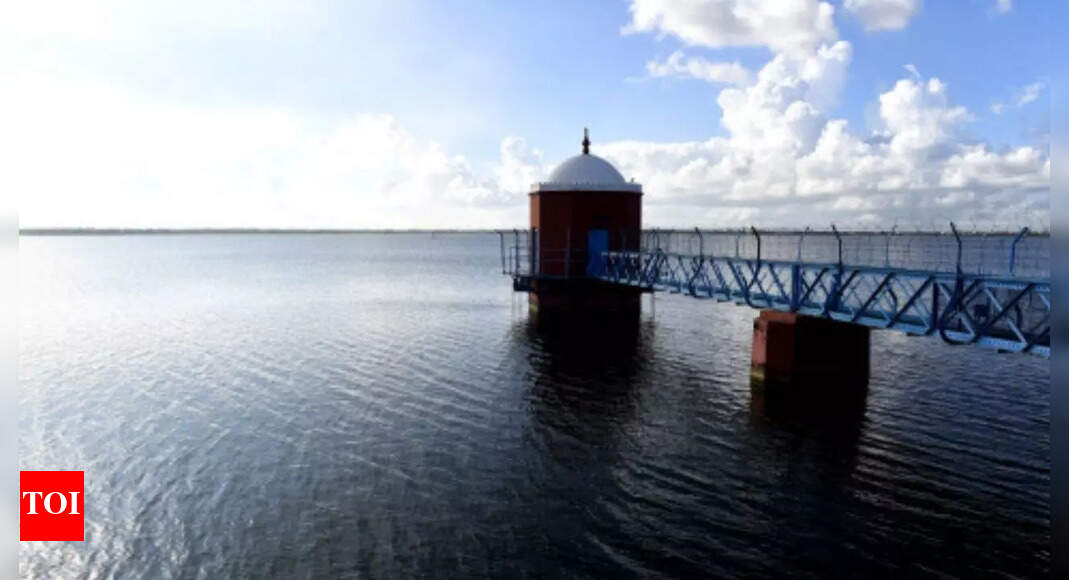 More water let out from Chennai's biggest reservoirs at Red Hills and