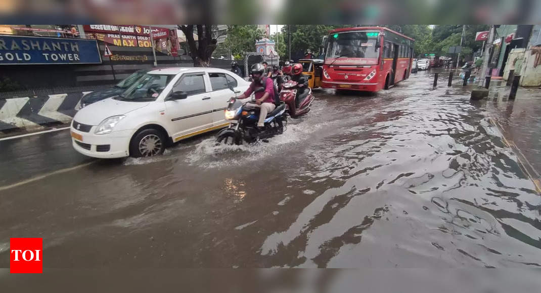 Live: Schools to remain closed in several districts in TN