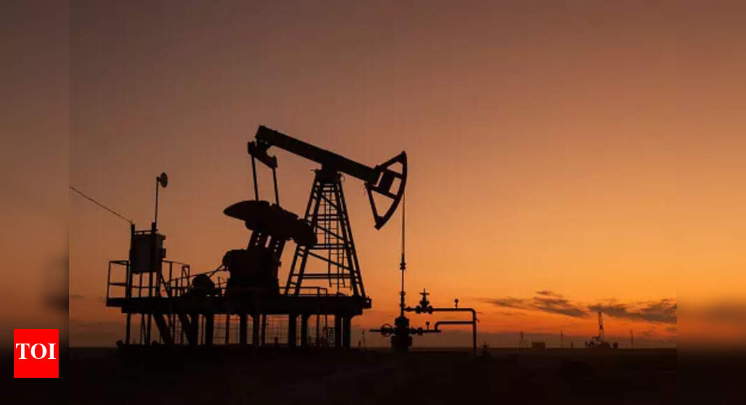 China reserve bureau working on crude oil release - Times of India