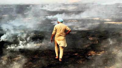 Farmers being told about SC orders on straw burning, says Punjab government