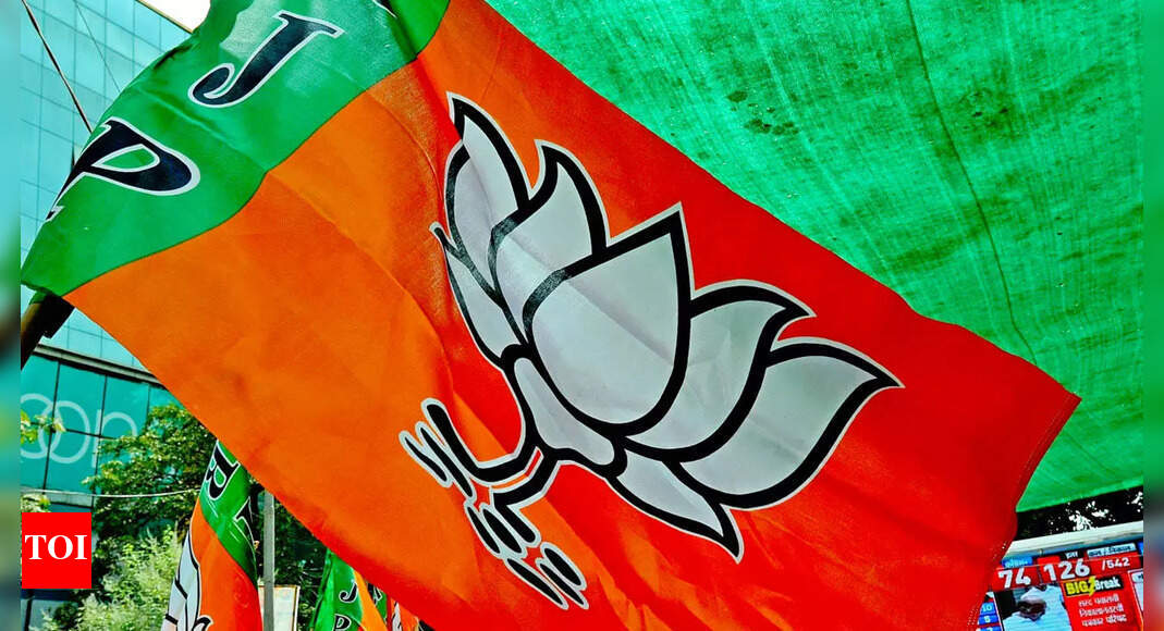 BJP lost assembly bypolls due to overconfidence: Himachal Pradesh minister