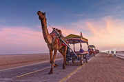 Discovering the top attractions of Kutch in Gujarat