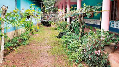Karnataka: At this govt school in Bantwal, areca farming helps generate a decent income