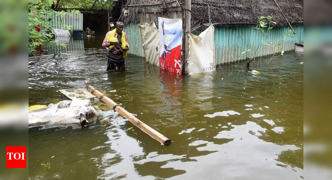 Ramachandran: Central team to visit flood-hit areas of Tamil Nadu on ...