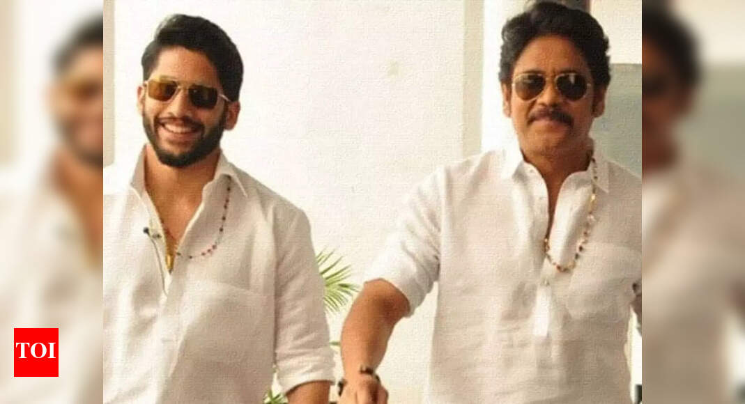 Details about Nagarjuna, Naga Chaitanya, Ramya Krishnan, Krithi Shetty ...
