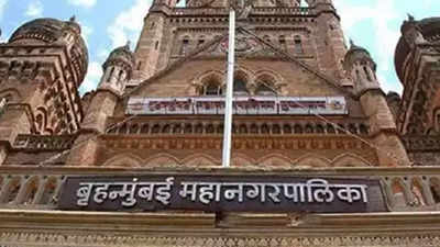 38,899 tree cutting permissions granted in 11 years by BMC: Data