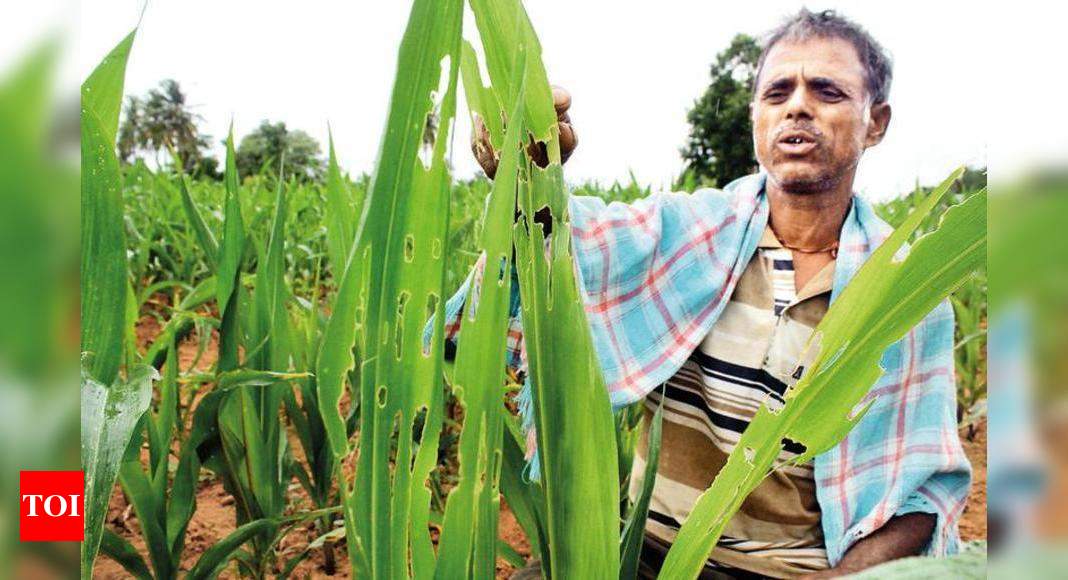 Mumbai: Farmers’ union welcomes state move to drop 3 bills | Mumbai ...