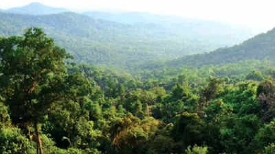 Goa falls short of afforestation goals, plants just 53% of target