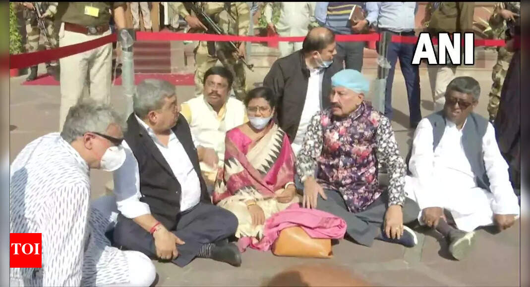 Live: TMC MPs protest outside MHA over Tripura police action