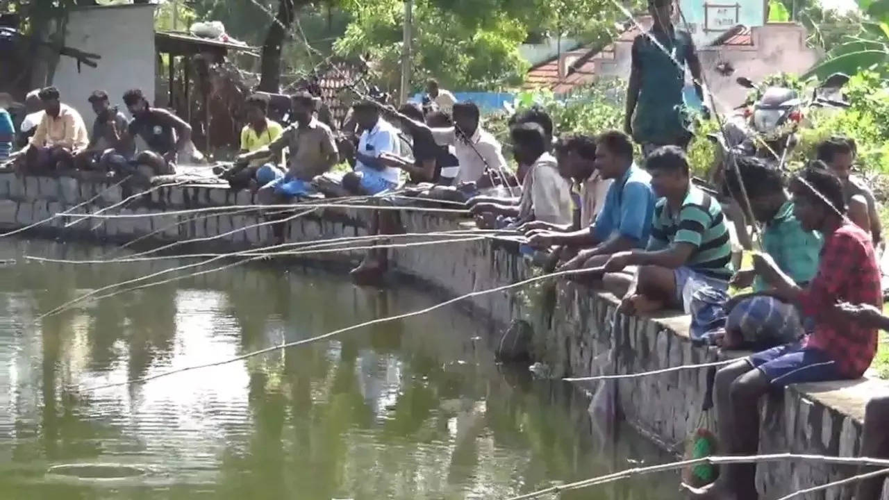 Tamil Nadu: Villagers catch fish with rods to mark annual fishing