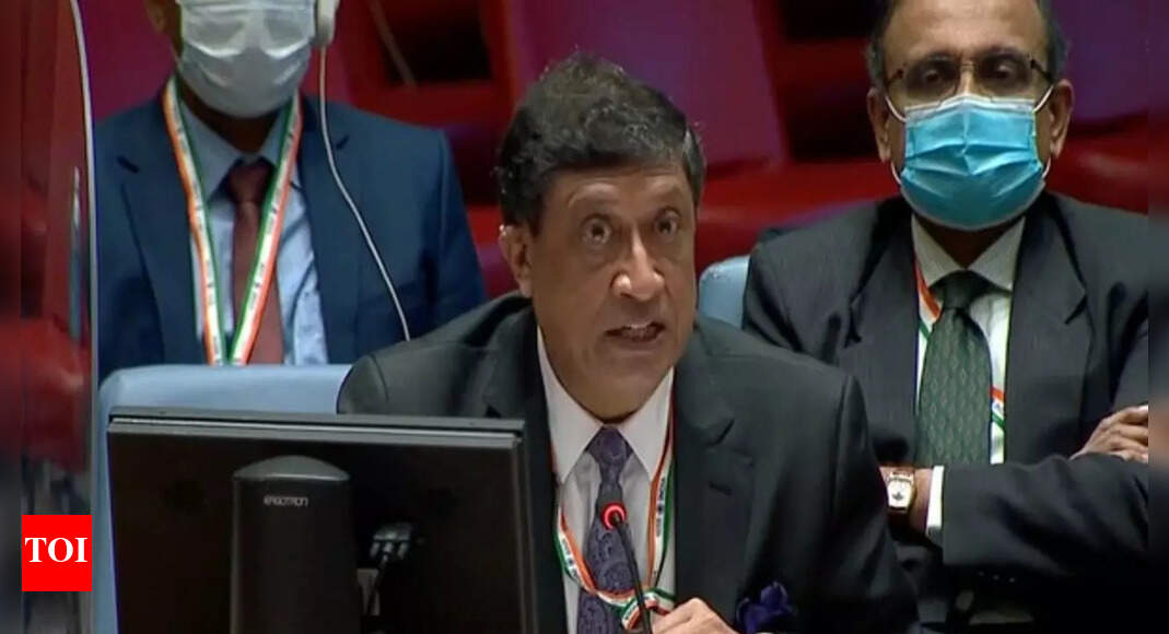 At UNSC open debate, India commits to international obligations on illicit arms trade