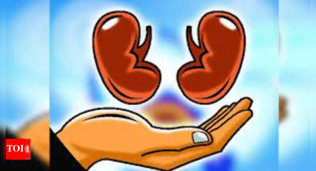 Ahmedabad Three kidney transplants in a day at KD Hospital Ahmedabad