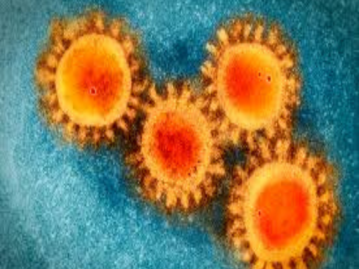 Exposure to harmless coronaviruses boosts Covid immunity: Study - Times of India