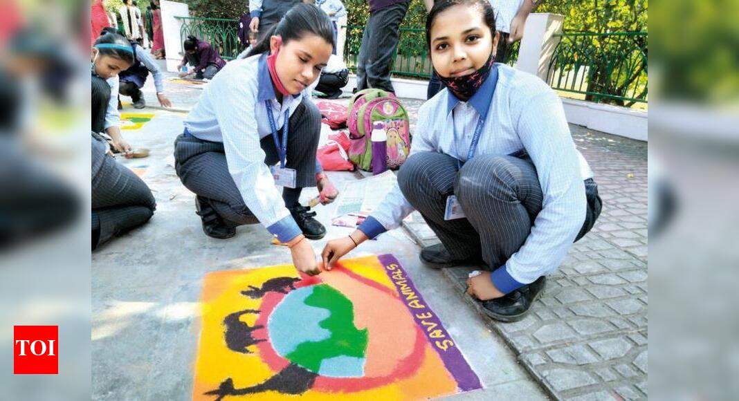 Kids bring alive animal world through rangolis | Lucknow News - Times ...