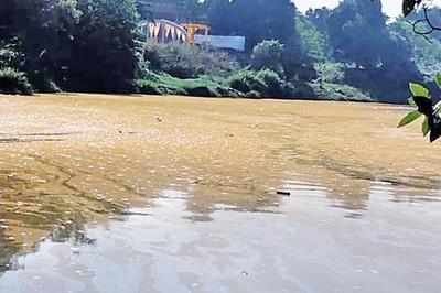 Mumbai: Polluted Ulhas river gets muddy colour; MPCB collects samples