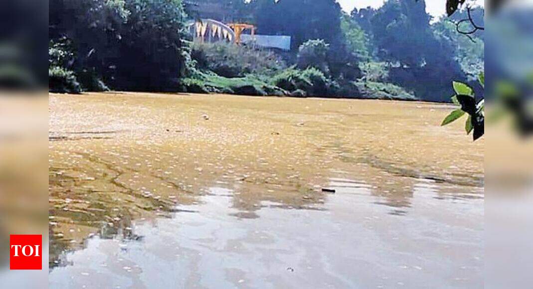 Mumbai: Polluted Ulhas river gets muddy colour; MPCB collects samples ...