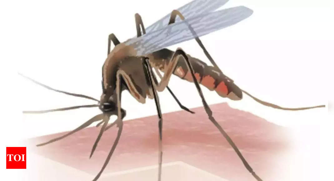 One more suspected dengue death in Bidhannagar area