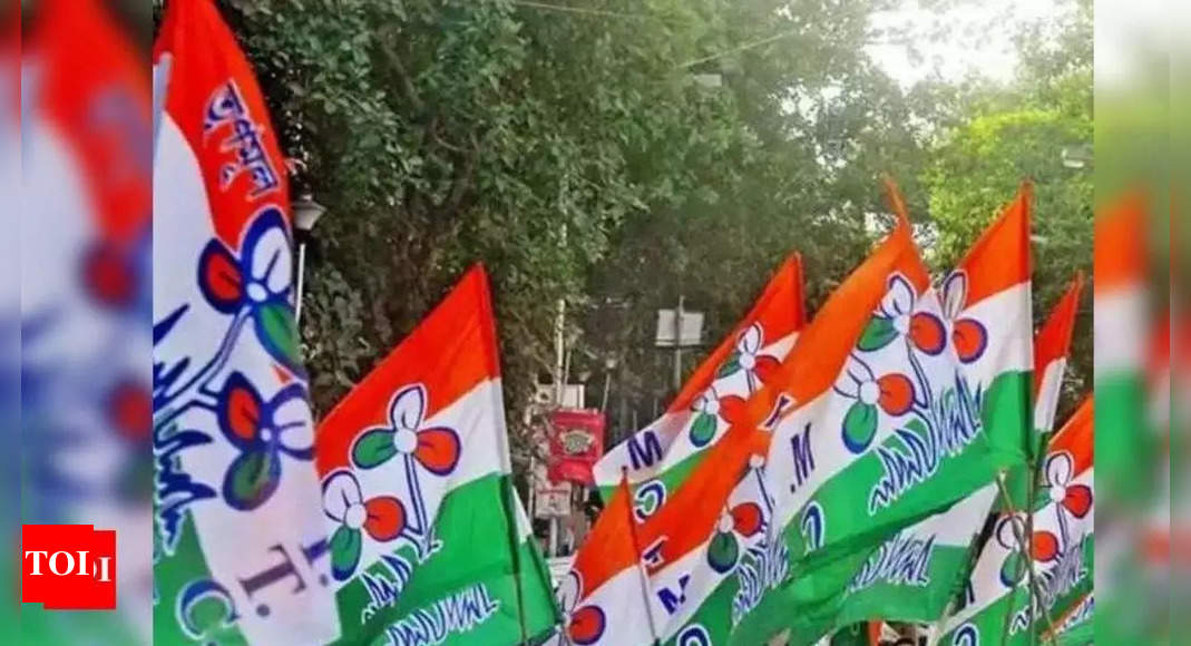 Tripura TMC candidate accuses BJP man of ‘firing’ at her