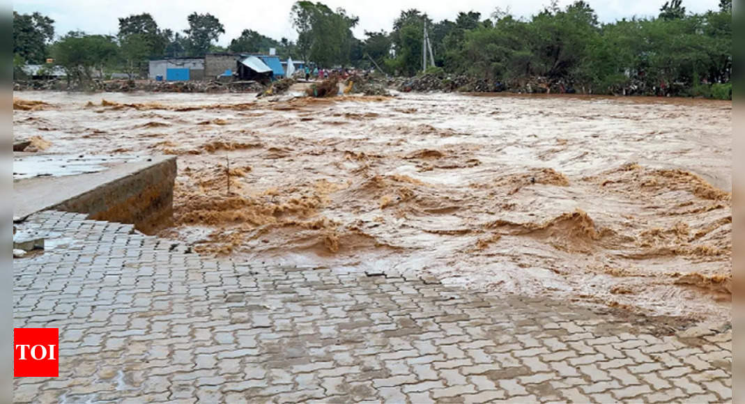 Andhra Pradesh Flood: Andhra Pradesh Flash Floods Worst In 20 Years ...