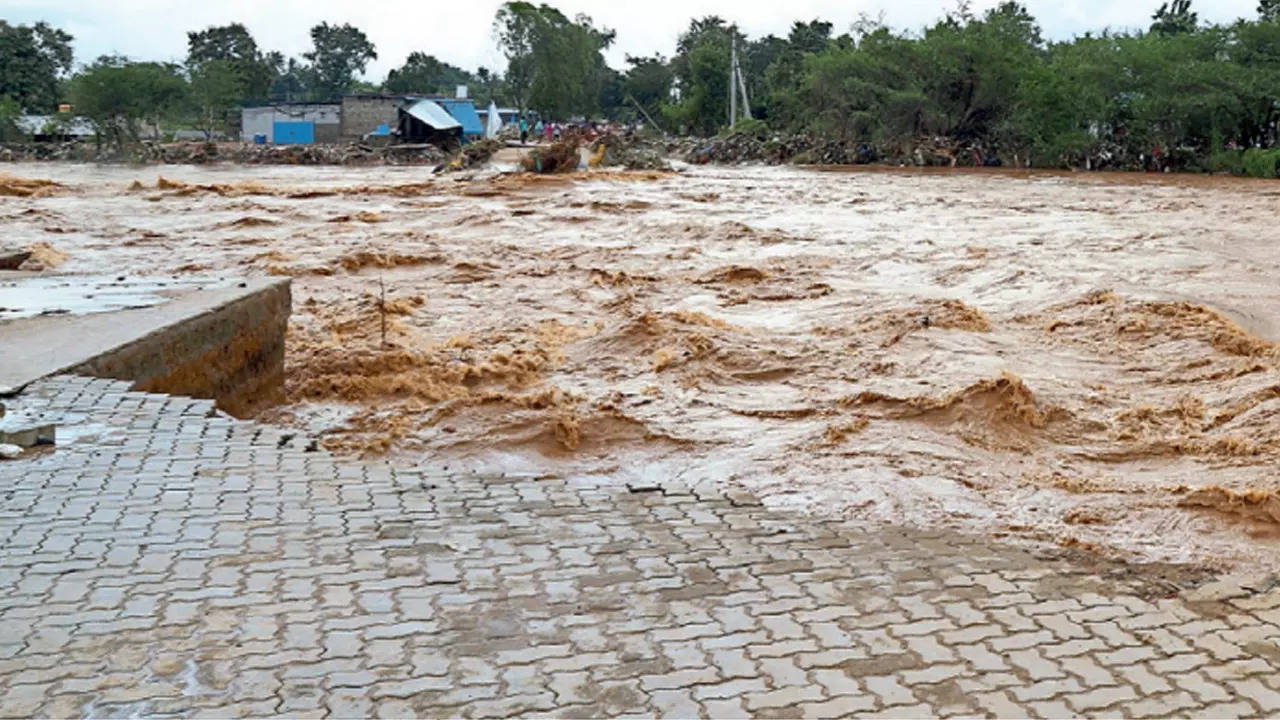 Andhra Pradesh Flood: Andhra Pradesh flash floods worst in 20 years, says  CWC | Visakhapatnam News - Times of India