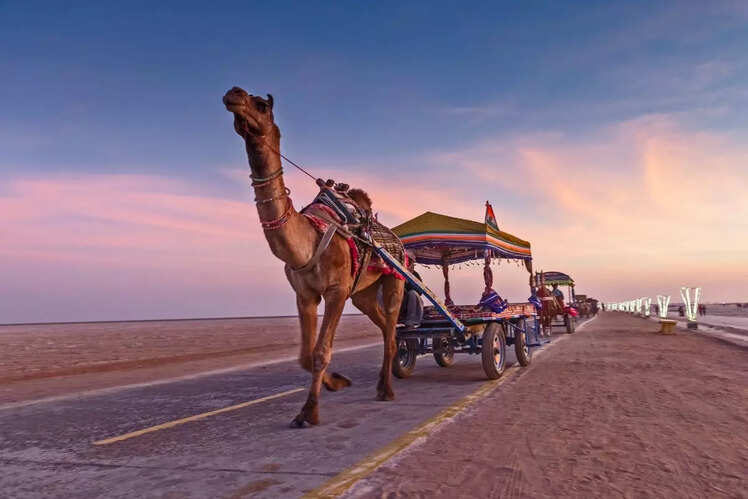 Ahmedabad to Kutch 
