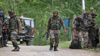 86% of terrorists killed in J&K this year were local residents: Sources