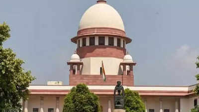 Supreme Court reimposes ban on construction activities in Delhi-NCR