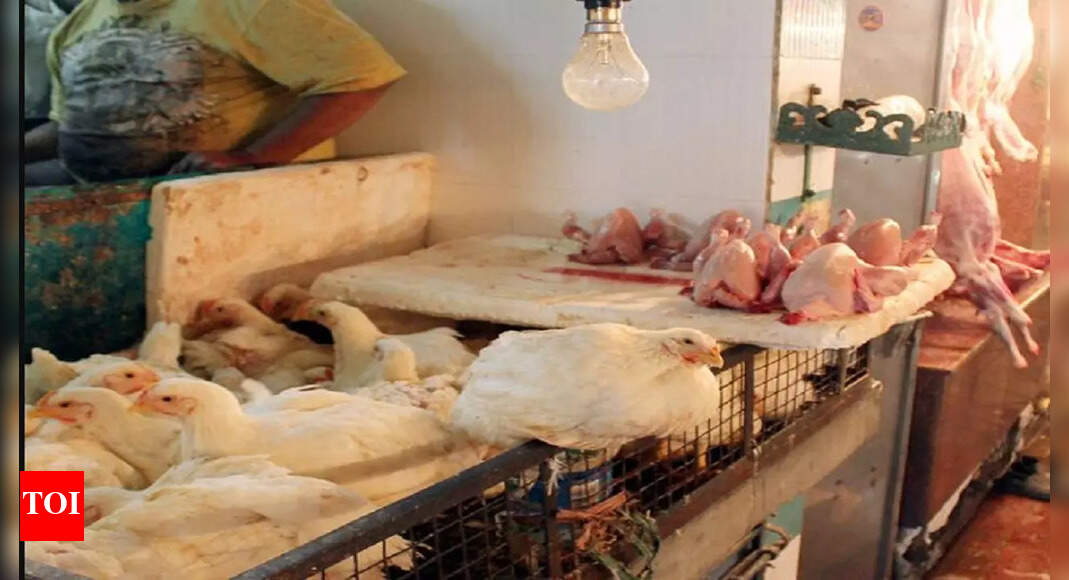 Meatfree day in urban Uttar Pradesh today Lucknow News Times of India