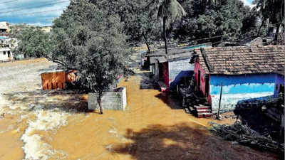 Tamil Nadu: When deluge came on the dry Palar