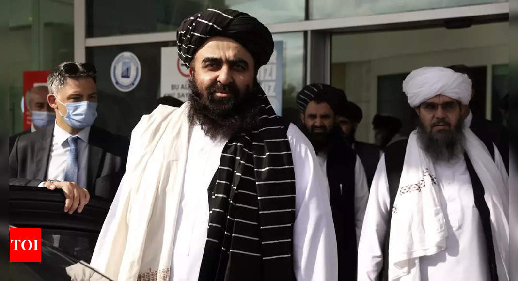 taliban-us-special-envoy-for-afghanistan-to-meet-taliban-in-doha-next-week-times-of-india