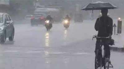 IMD predicts light to moderate rain in over 12 districts of Tamil Nadu