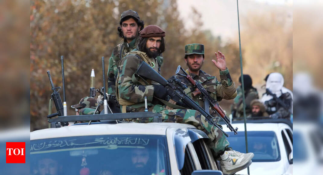 , Taliban signs deal with Australian company, may legalize ‘cannabis processing’, The World Live Breaking News Coverage & Updates IN ENGLISH