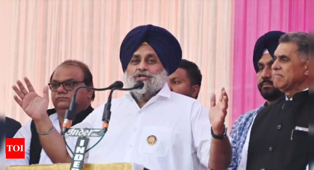 SAD chief Sukhbir Badal calls CM Charanjit Singh Channi biggest ...