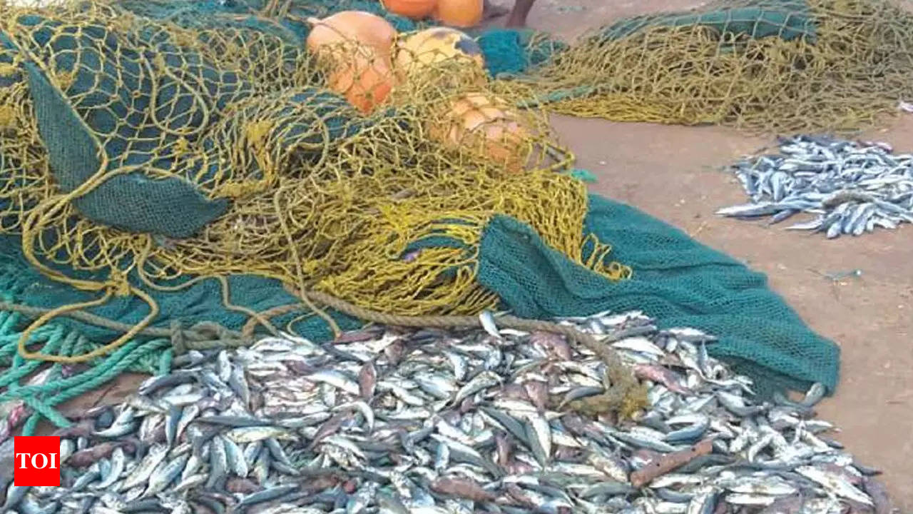 Nets worth Rs 3 lakh seized from Karnataka fishermen in Goa