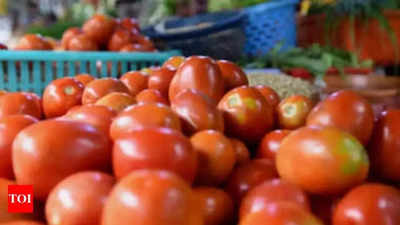 Tomato price dips to Rs 80 a kg in Madurai