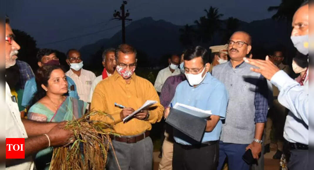 Chittoor: Andhra Pradesh: Central team inspects flood-affected areas in ...