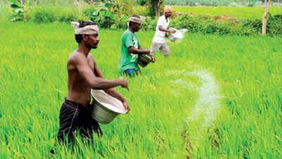 Another farmer dies in Telangana awaiting paddy purchase | Hyderabad ...